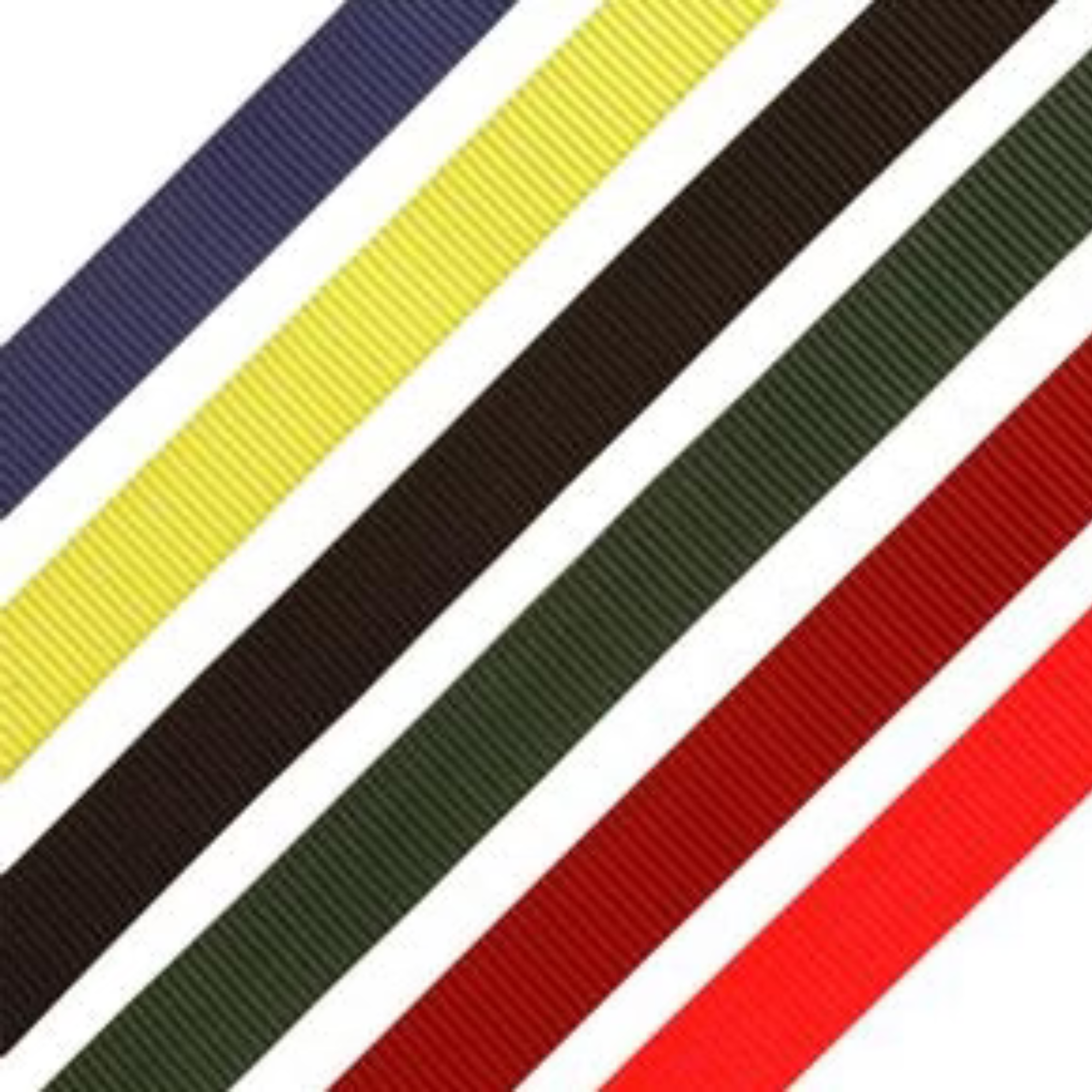 RescueTECH 1" Heavy Duty Flat Webbing from GME Supply